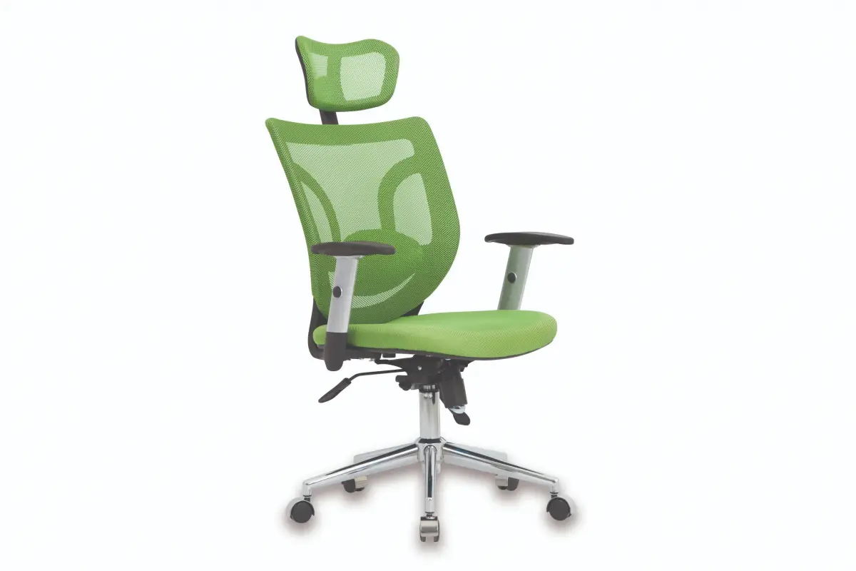 Boliz Müdür Koltuğu